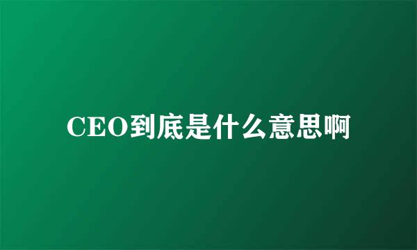 CEO到底是什么意思啊