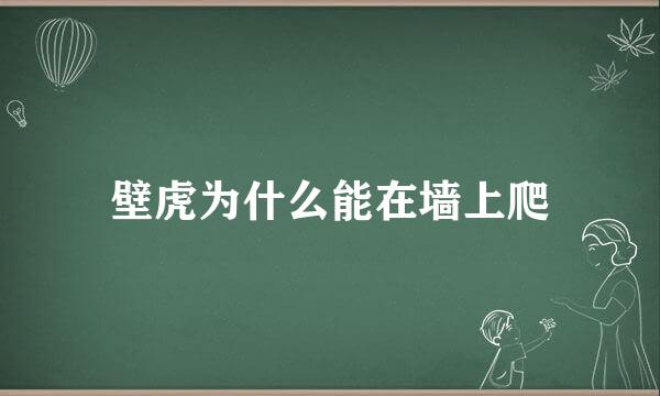 壁虎为什么能在墙上爬