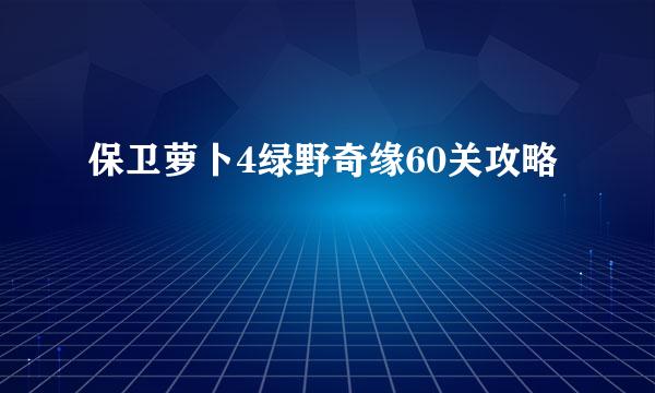 保卫萝卜4绿野奇缘60关攻略