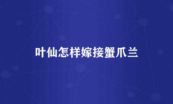 叶仙怎样嫁接蟹爪兰