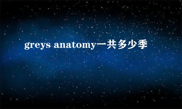 greys anatomy一共多少季
