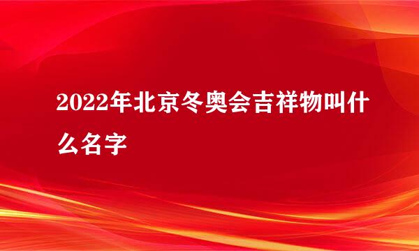 2022年北京冬奥会吉祥物叫什么名字