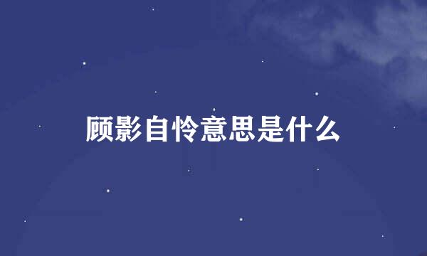 顾影自怜意思是什么