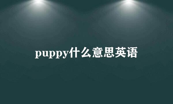 puppy什么意思英语