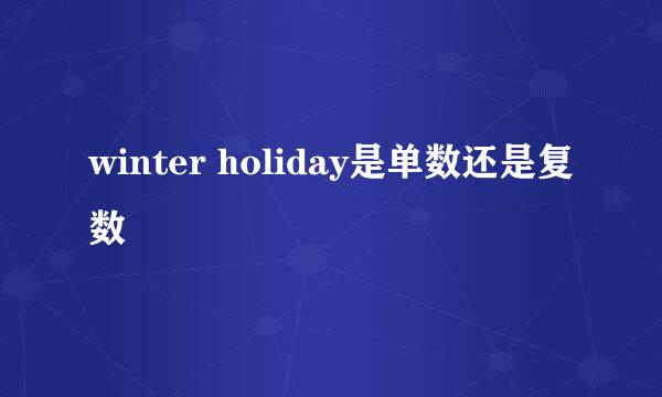 winter holiday是单数还是复数
