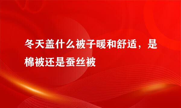 冬天盖什么被子暖和舒适，是棉被还是蚕丝被