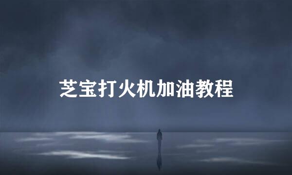 芝宝打火机加油教程