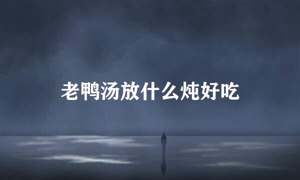 老鸭汤放什么炖好吃