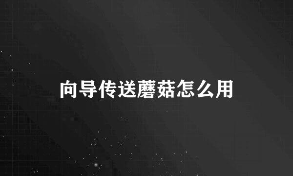 向导传送蘑菇怎么用