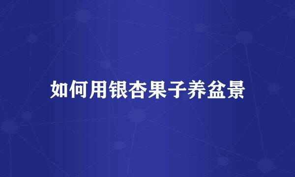 如何用银杏果子养盆景