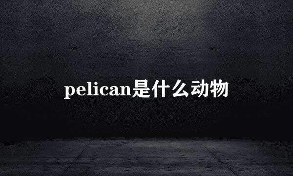 pelican是什么动物