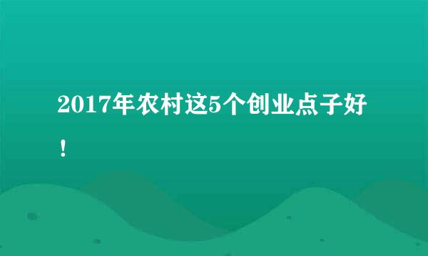 2017年农村这5个创业点子好！