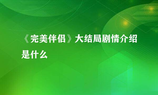 《完美伴侣》大结局剧情介绍是什么