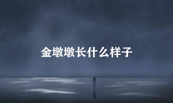 金墩墩长什么样子