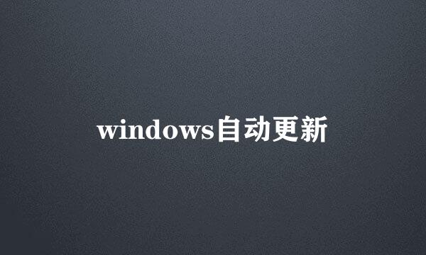 windows自动更新