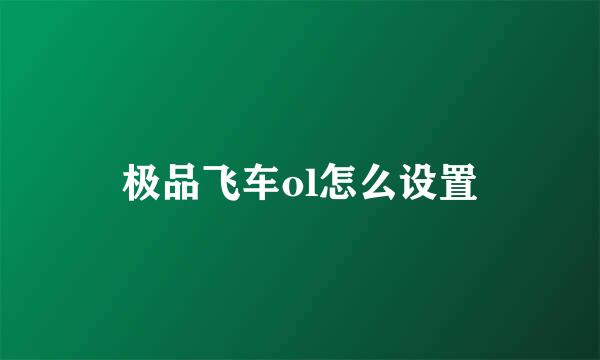极品飞车ol怎么设置