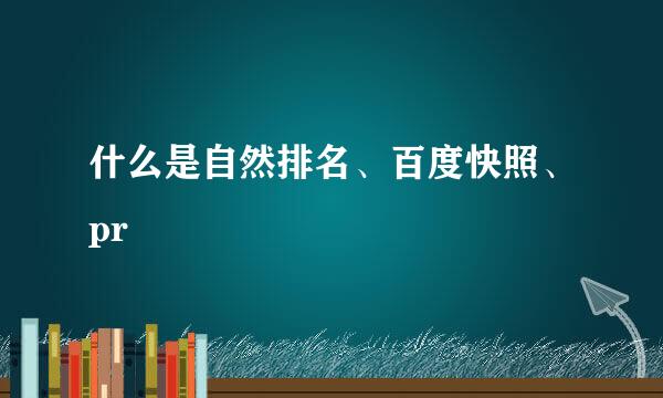 什么是自然排名、百度快照、pr