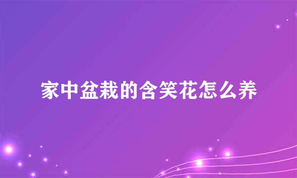 家中盆栽的含笑花怎么养