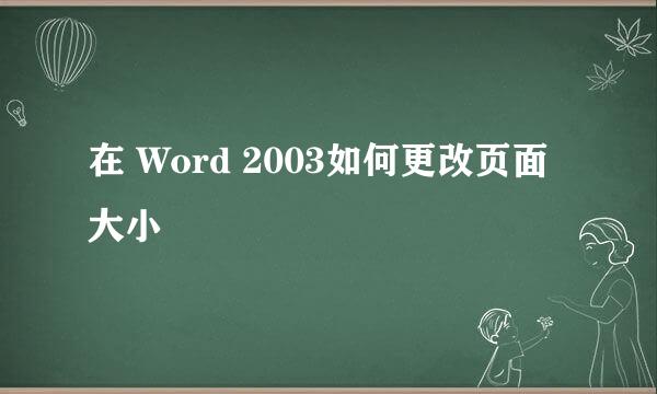 在 Word 2003如何更改页面大小