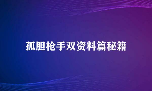 孤胆枪手双资料篇秘籍