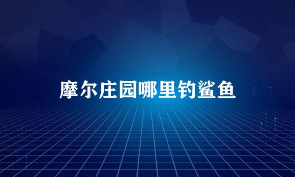 摩尔庄园哪里钓鲨鱼