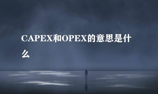 CAPEX和OPEX的意思是什么