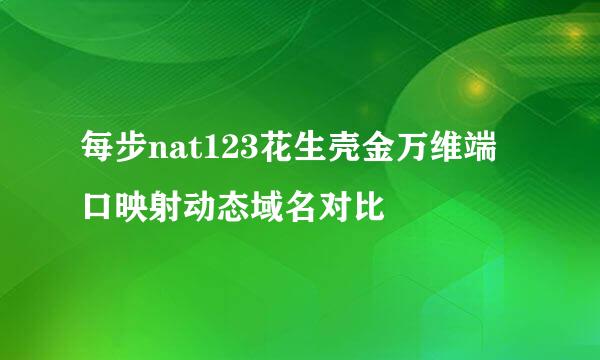 每步nat123花生壳金万维端口映射动态域名对比