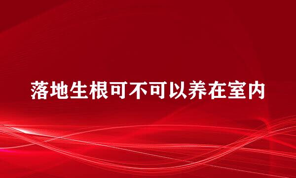 落地生根可不可以养在室内