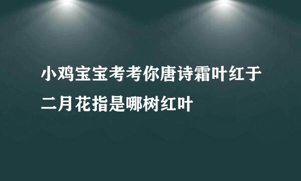 小鸡宝宝考考你唐诗霜叶红于二月花指是哪树红叶