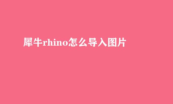 犀牛rhino怎么导入图片
