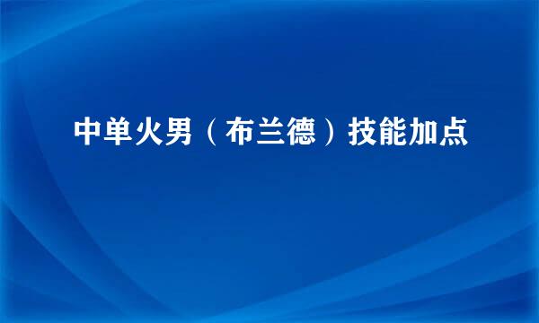 中单火男（布兰德）技能加点