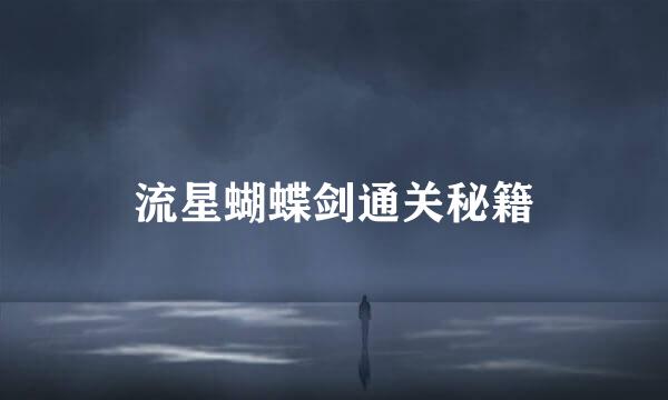 流星蝴蝶剑通关秘籍