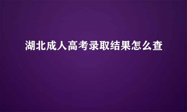 湖北成人高考录取结果怎么查
