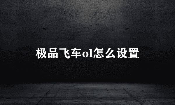 极品飞车ol怎么设置