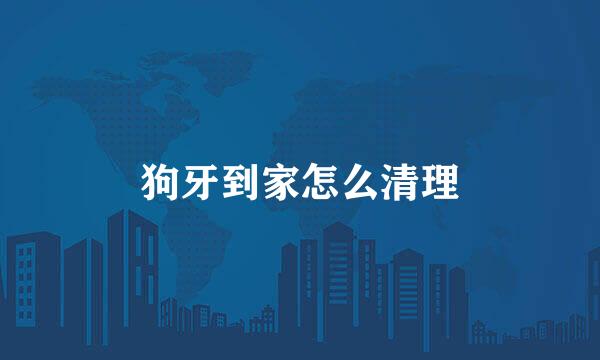 狗牙到家怎么清理