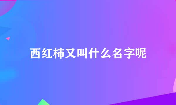 西红柿又叫什么名字呢