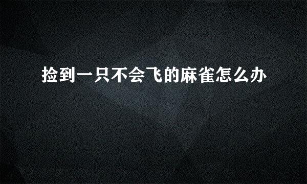 捡到一只不会飞的麻雀怎么办