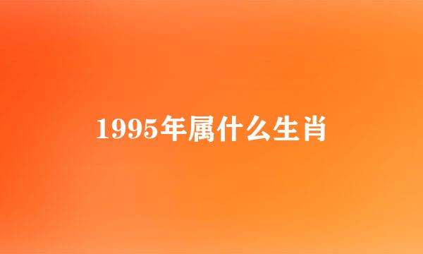 1995年属什么生肖