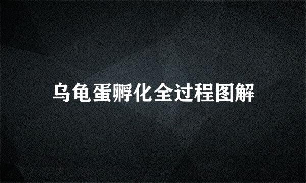 乌龟蛋孵化全过程图解