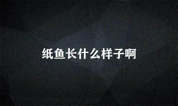 纸鱼长什么样子啊