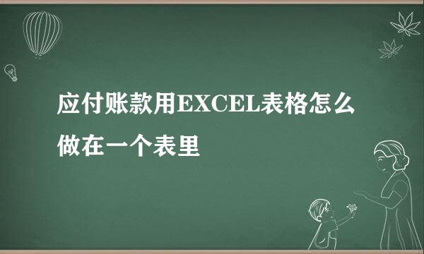 应付账款用EXCEL表格怎么做在一个表里