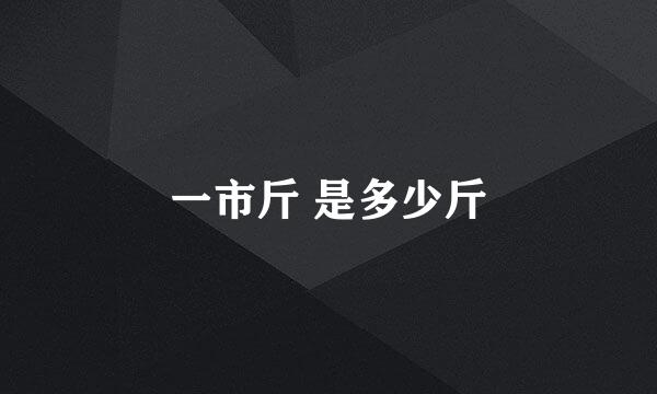 一市斤 是多少斤