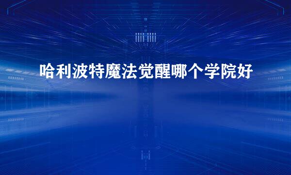 哈利波特魔法觉醒哪个学院好