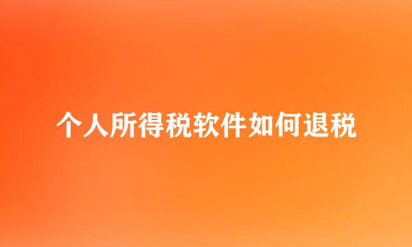 个人所得税软件如何退税