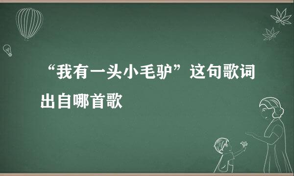 “我有一头小毛驴”这句歌词出自哪首歌