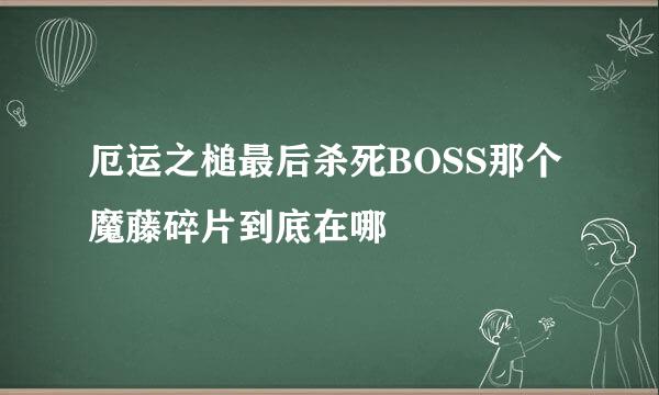 厄运之槌最后杀死BOSS那个魔藤碎片到底在哪