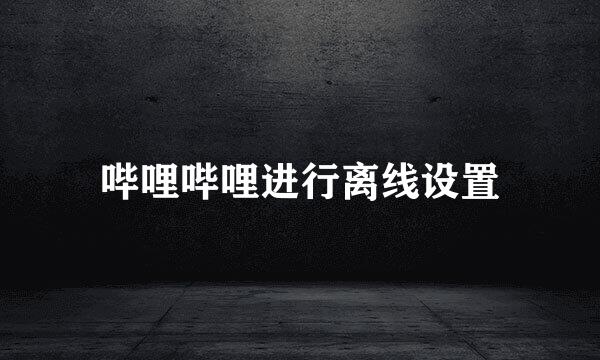 哔哩哔哩进行离线设置