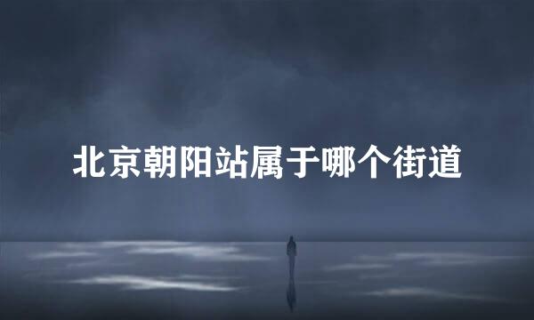 北京朝阳站属于哪个街道