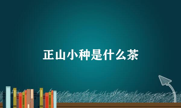 正山小种是什么茶