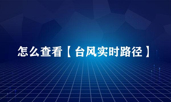 怎么查看【台风实时路径】